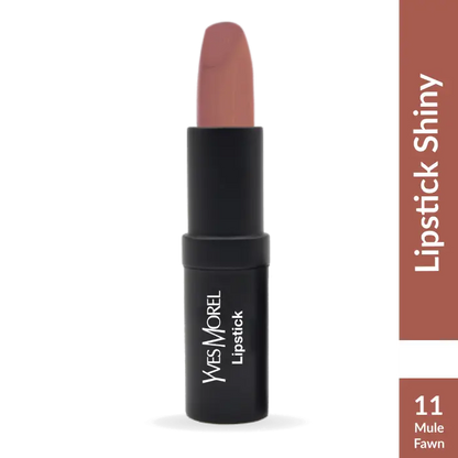 Yvesmorel lipstick shiny