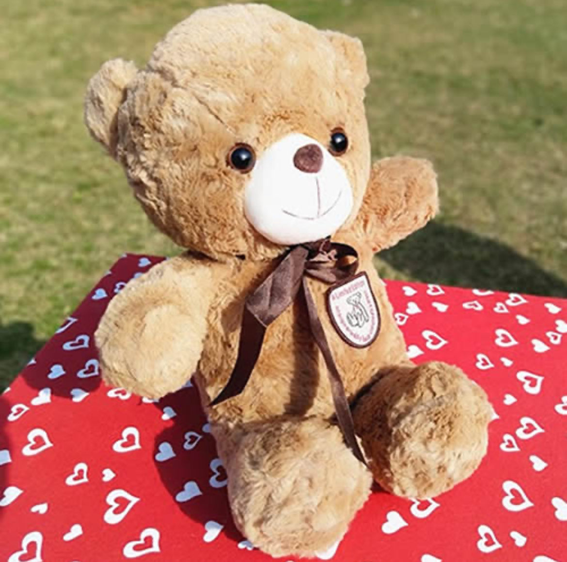 Teddy bear medium size