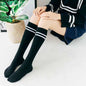 New Trendy Socks 2025/2026