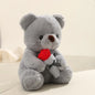 Teddy bear medium size